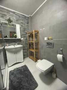 Apartment for rent 2 rooms, APCJ355027-7