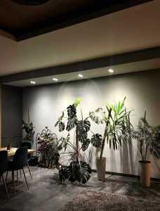 Apartment for rent 3 rooms, APCJ355011-5