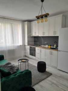 Apartment for rent 2 rooms, APCJ354958-1