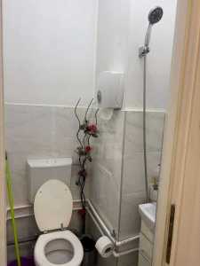 Commercial space for rent 3 rooms, SCCJ355141-7