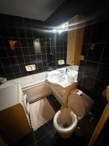 Apartment for rent 2 rooms, APCJ356225-10