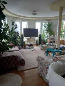 House for rent 9 rooms, CACJ356092-6
