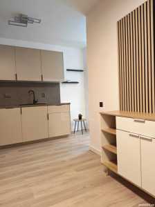 Apartment for rent 2 rooms, APCJ356238-4