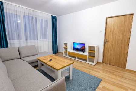 Apartment for rent 2 rooms, APCJ356183-19