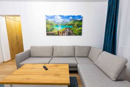 Apartment for rent 2 rooms, APCJ356183-13