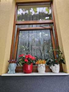 Apartment for sale 2 rooms, APCJ357056-4