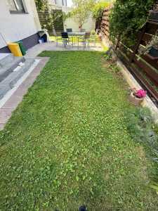 Apartment for rent 3 rooms, APCJ358187-19