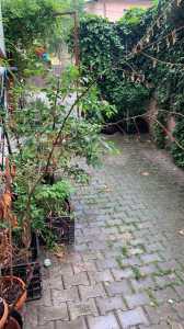 Apartment for sale 3 rooms, APCJ358221-29
