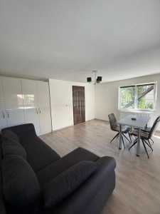 Apartment for rent 2 rooms, APCJ358282-15