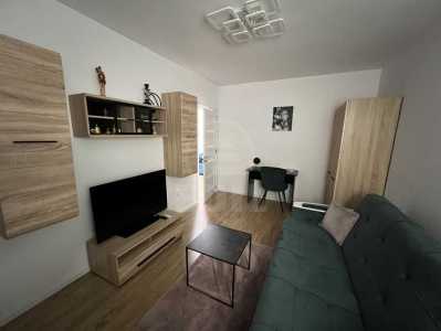Apartment for rent 2 rooms, APCJ357984-3
