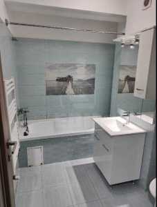 Apartment for rent 2 rooms, APCJ358591-6