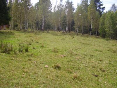 Terrain de vente, TECJ208440FLO-3