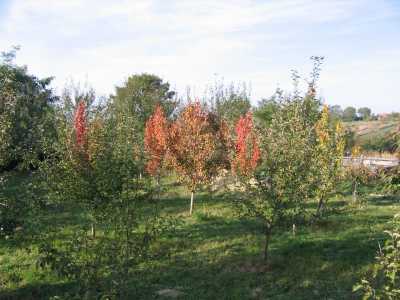 Terrain de vente, TECJ220656-9