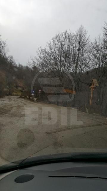 Terrain de vente, TECJ209581FLO-1