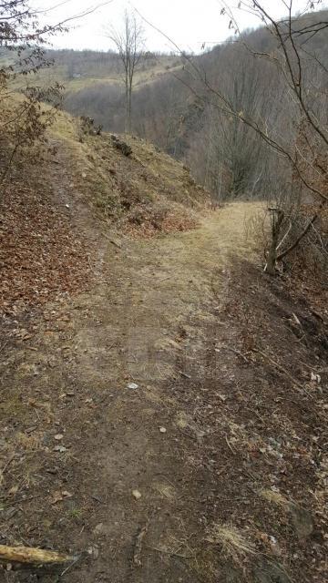 Terrain de vente, TECJ209581FLO-2