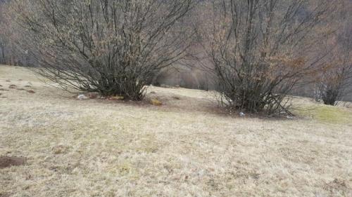 Terrain de vente, TECJ209581FLO-9