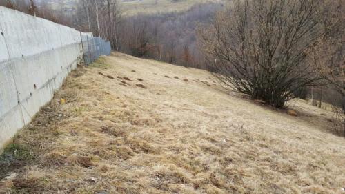 Terrain de vente, TECJ209581FLO-11