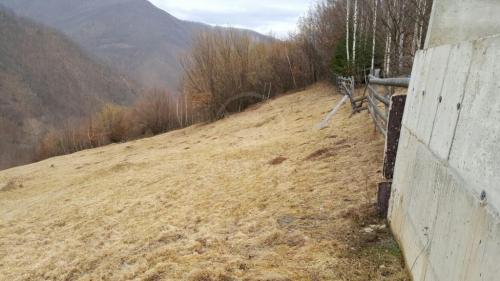 Terrain de vente, TECJ209581FLO-15