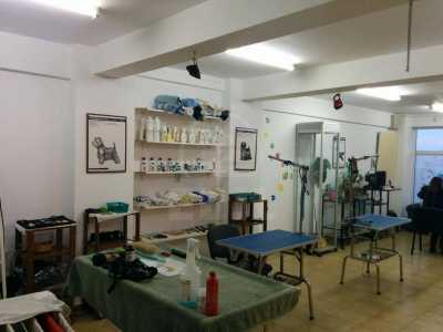 Bureau de vente 3 chambres, BICJ226297-5