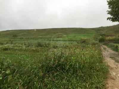 Terrain de vente, TECJ209876FLO-2