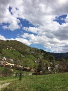 Terrain de vente, TEAB278184-9