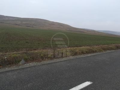 Terrain de vente, TECJ231248FLO-5