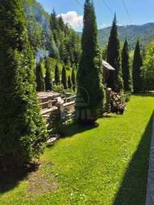 Chalet de vente 9 chambres, CBCJ231598FLO-4