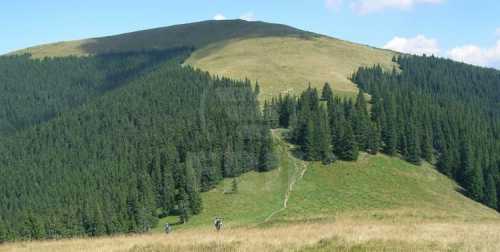 Terrain de vente, TECJ231944FLO-1