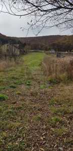 Terrain de vente, TECJ232852FLO-2