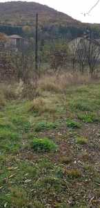 Terrain de vente, TECJ232852FLO-3