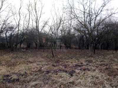 Terrain de vente, TECJ307496