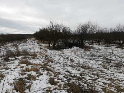 Terrain de vente, TECJ307931-4