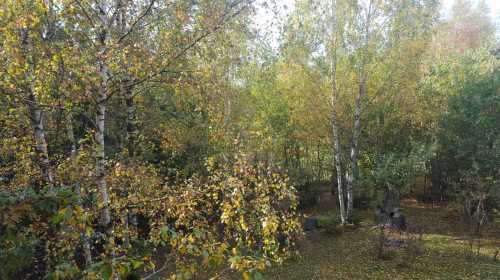 Chalet de vente 8 chambres, CBCJ314821-8