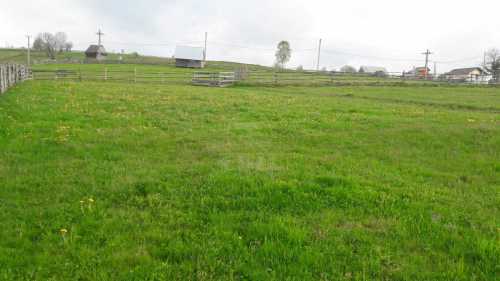 Terrain de vente, TECJ240965FLO-3