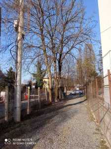 Maison de vente 3 chambres, CACJ324969-11