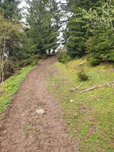 Terrain de vente, TECJ240864FLO-17