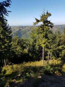 Terrain de vente, TECJ240864FLO-3