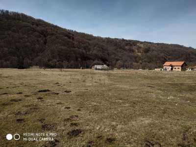 Terrain de vente, TECJ241904FLO-5