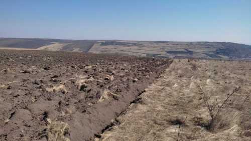 Terrain de vente, TECJ328403-7