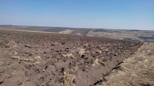 Terrain de vente, TECJ328403-5