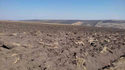 Terrain de vente, TECJ328403-6