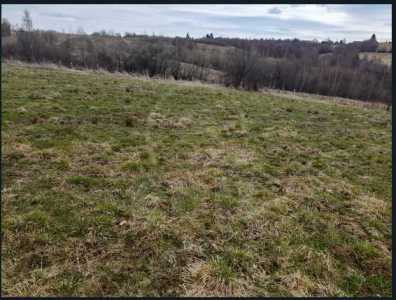 Terrain de vente, TECJ242053FLO-5