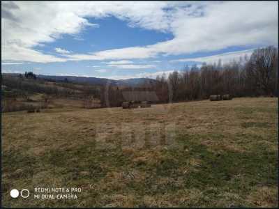 Terrain de vente, TECJ242048FLO-1