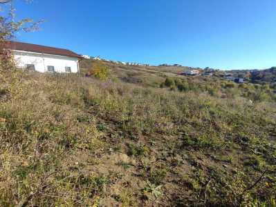 Terrain de vente, TECJ332667-8