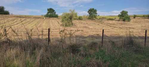 Maison de vente 5 chambres, CACJ338542-4
