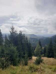 Chalet de vente 9 chambres, CBCJ339442-8