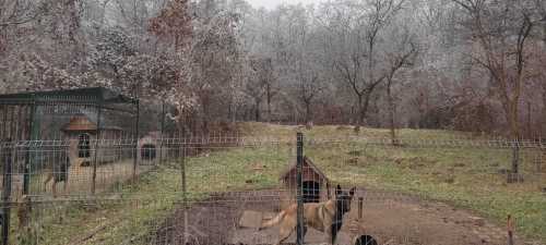 Terrain de vente, TECJ340196-5