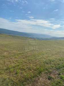 Terrain de vente, TECJ244796FLO-7