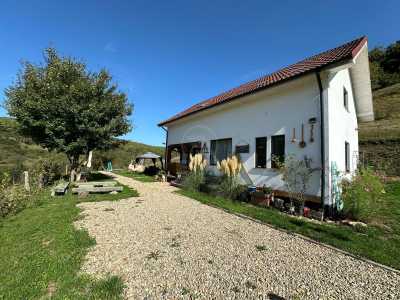 Maison de vente 5 chambres, CACJ245624FLO-4