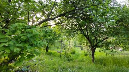 Maison de vente 5 chambres, CACJ350521-13